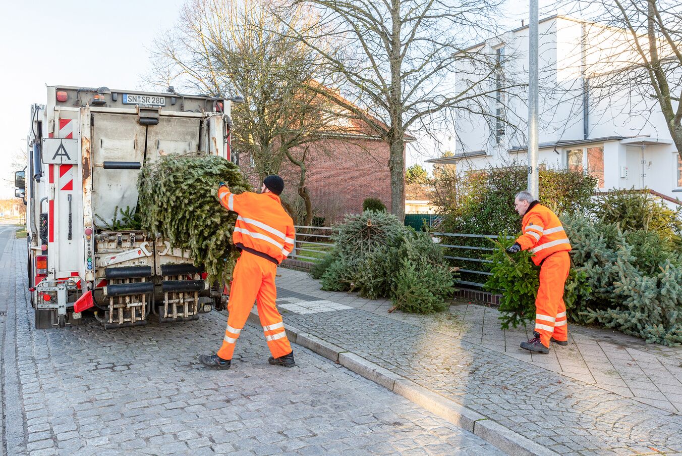 Sammelstellen für Weihnachtsbäume in Schwerin