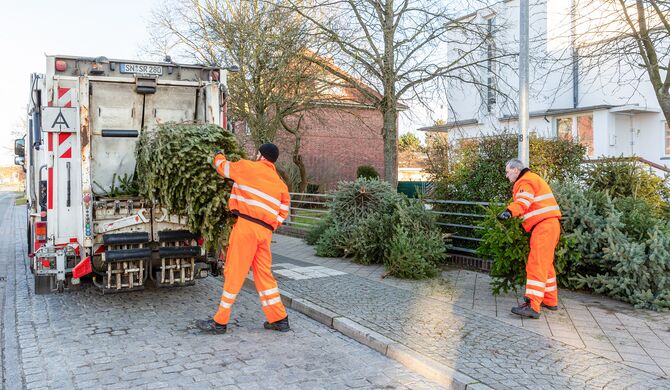 Sammelstellen für Weihnachtsbäume in Schwerin