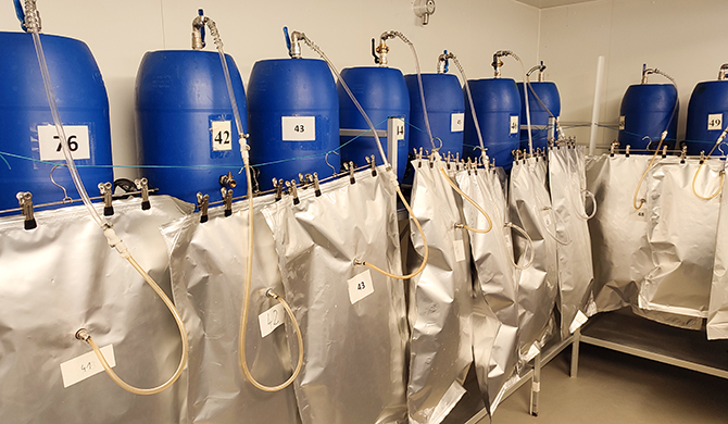 Für seine Doktorarbeit hat Jan Sprafke den bei der BAVA angelieferten Bioabfall untersucht und Biogasversuche durchgeführt. Fotos: Sprafke